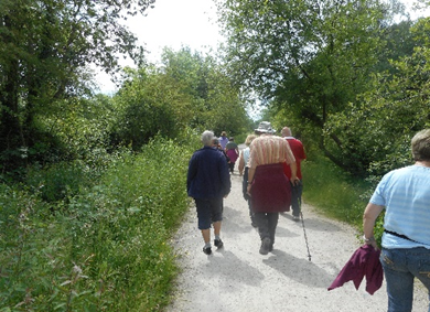 Group of people going for a walk